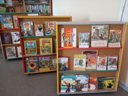 общая библиотека детской художественной литературы 